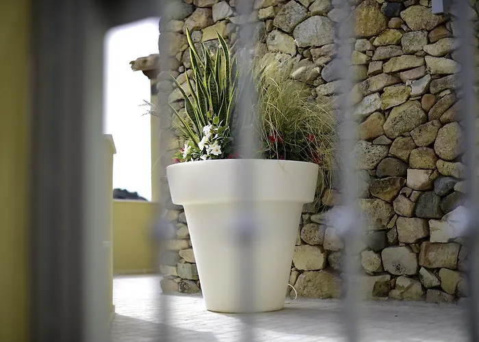 Hotel Domu Simius Life Style