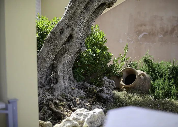 Отель Domu Simius Life Style 3*