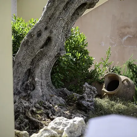 Hotel Domu Simius Life Style 3*