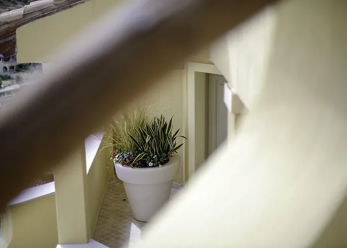 Domu Simius Life Style